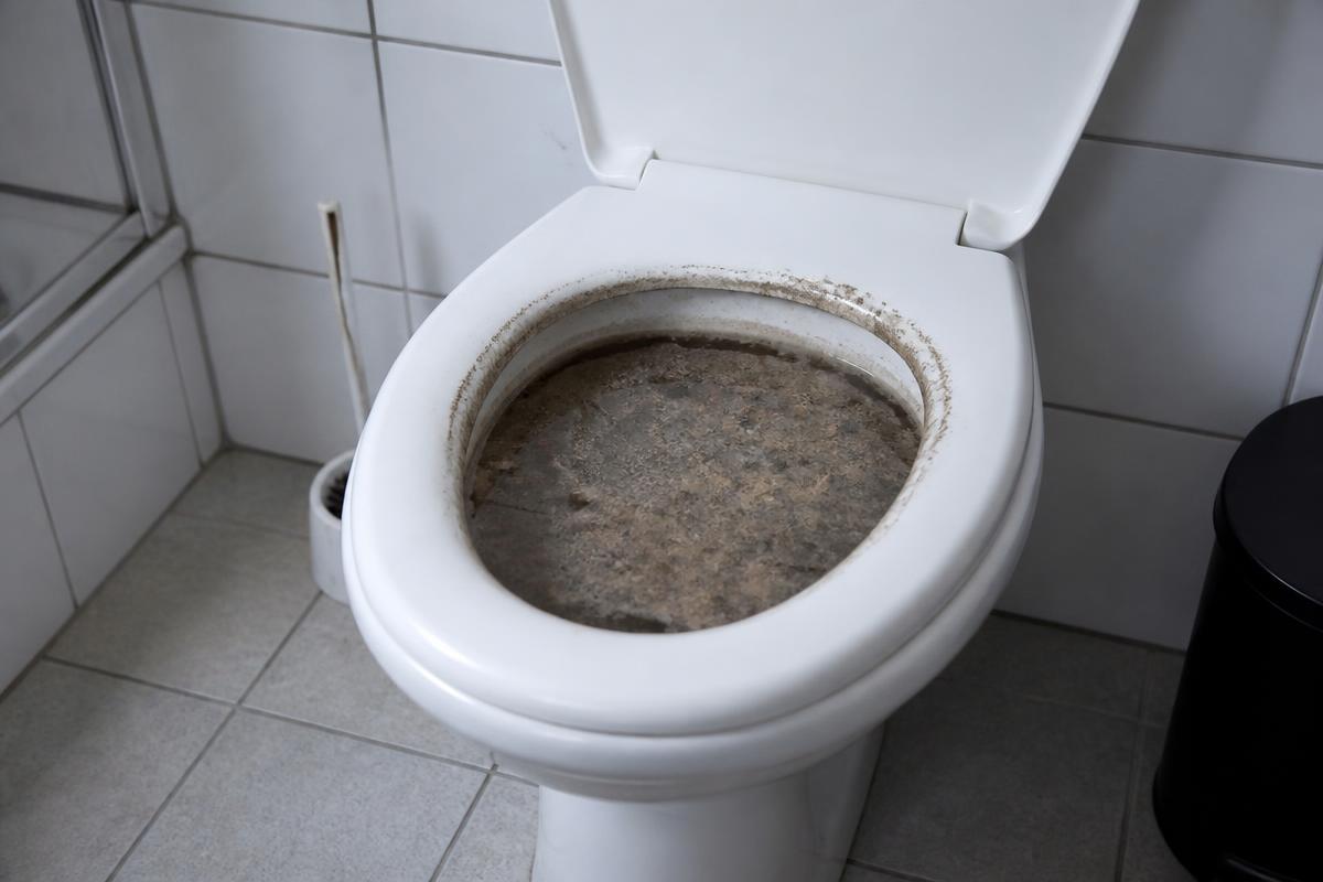Verstopftes WC, in dem das Wasser im Becken steht